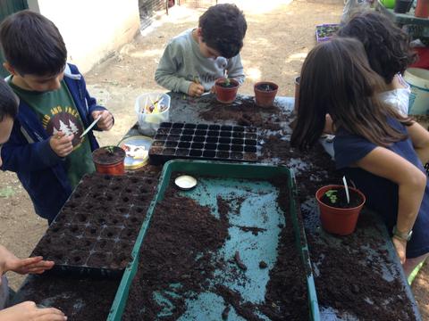 No final de abril continuámos a fazer sementeiras para garantir a sustentabilidade da nossa horta e garantir que as nossas saladas este verão estão mais aromatizadas com este manjericão